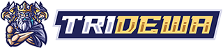 LOGO TRIDEWA